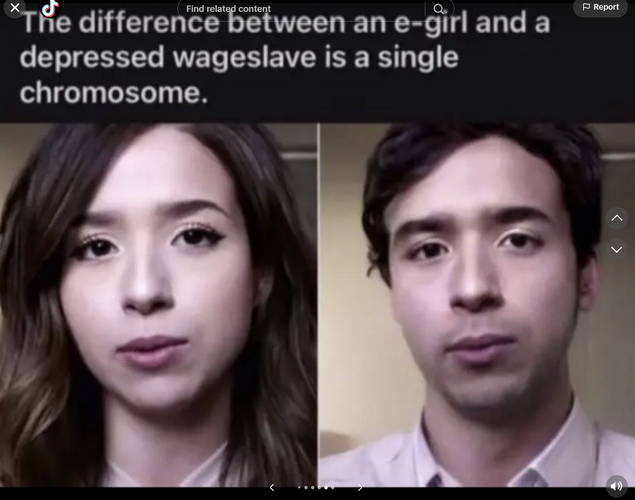 1690028884114.png