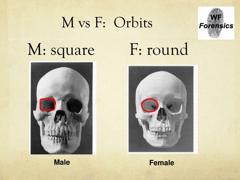 1691085989074