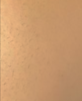 1691254098069