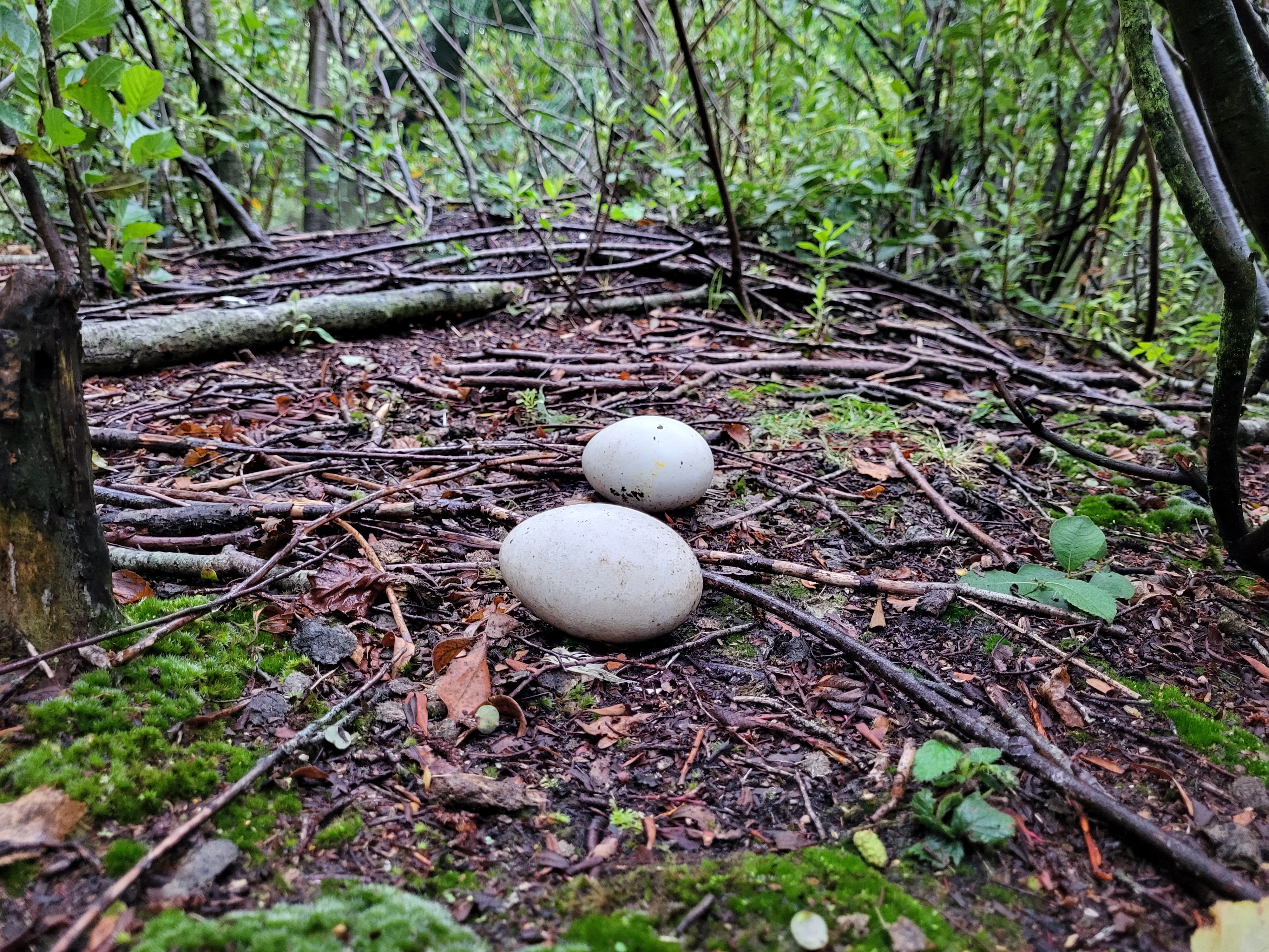 20230805 203315
