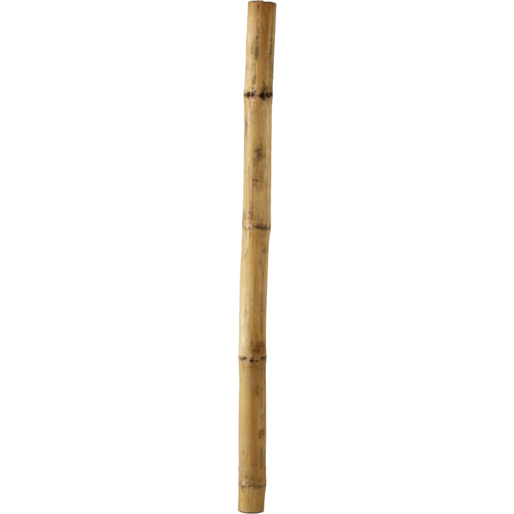 Pngegg 53