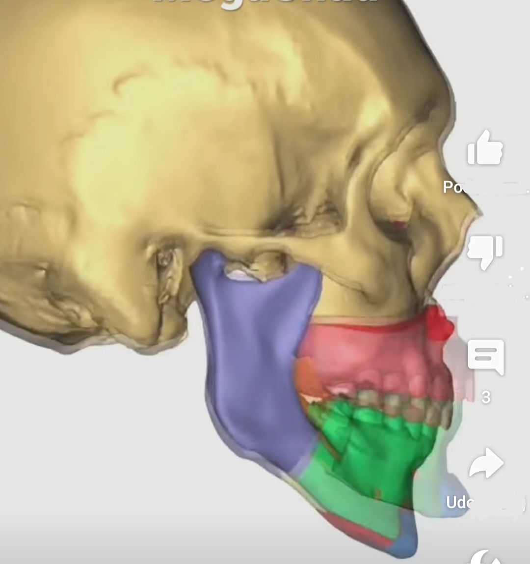 Screenshot 20230811 122447 Gallery