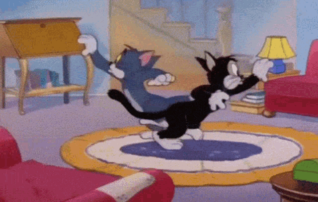 Tom and jerry searching