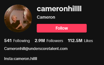 Screenshot 2023 08 15 at 21 49 40 Cameron cameronhillll TikTok