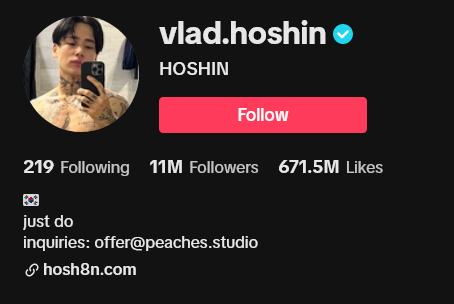 Screenshot 2023 08 15 at 21 48 21 HOSHIN vladhoshin Official TikTok