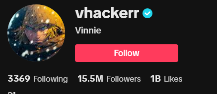 Screenshot 2023 08 15 at 21 23 16 Vinnie vhackerr Official TikTok