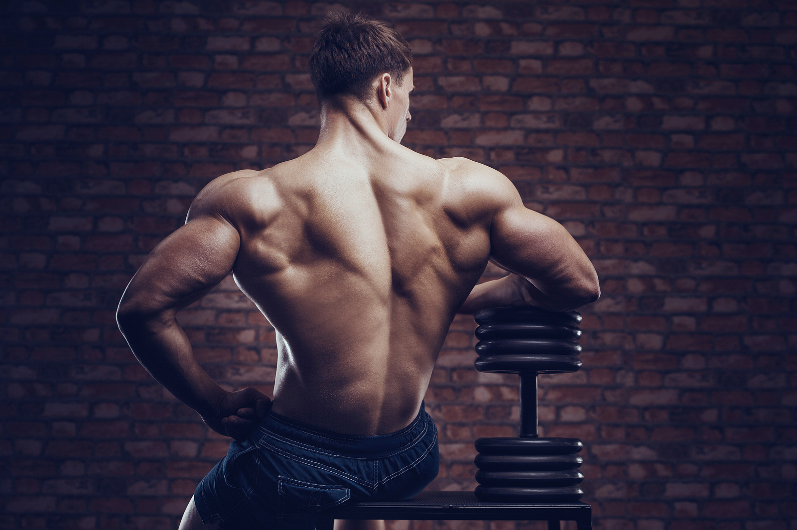 Back muscles