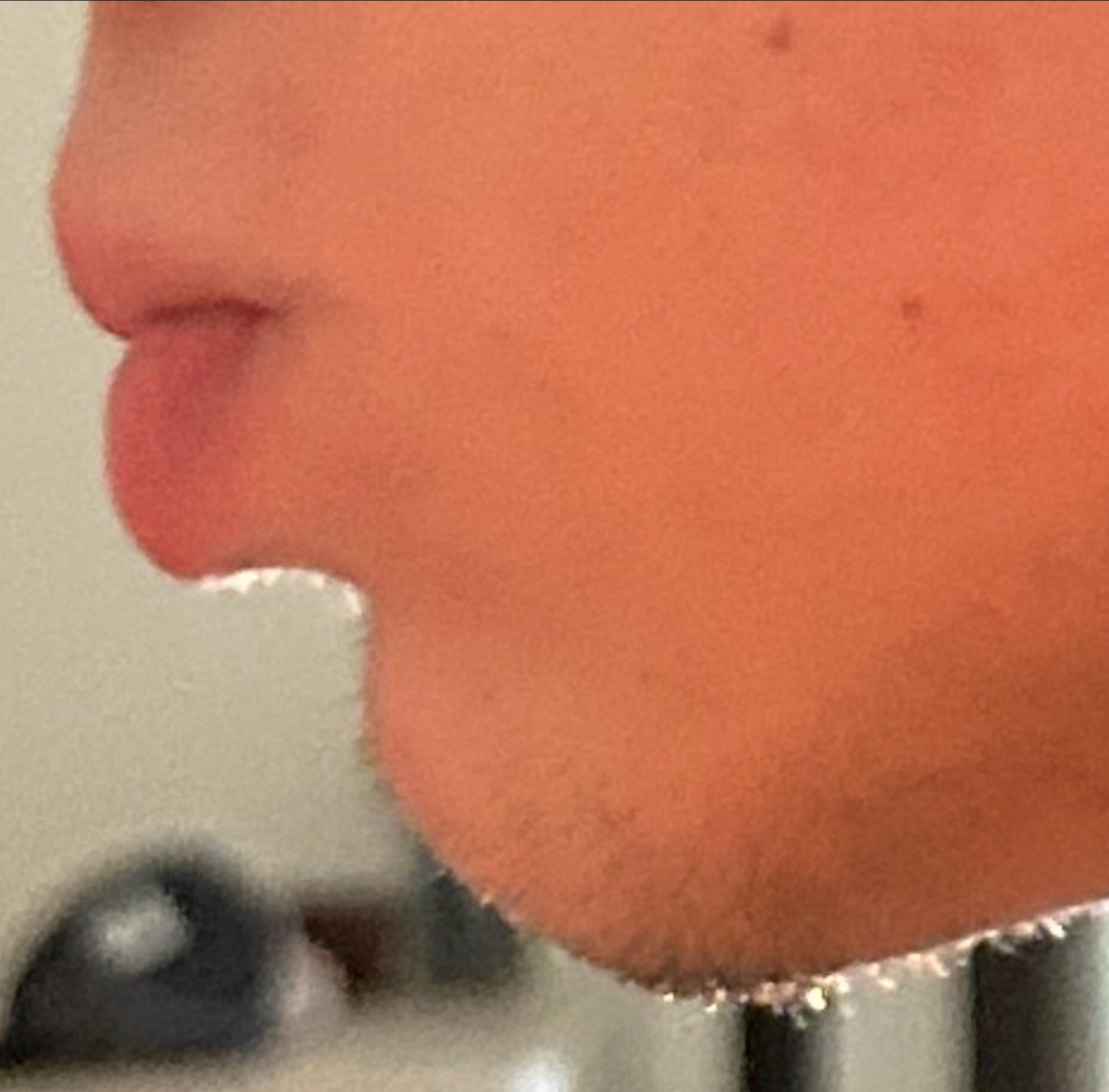 Skrmbild 10