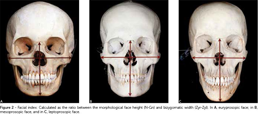 4d02bd255801bbb68d05cff12407196b5e4895c5