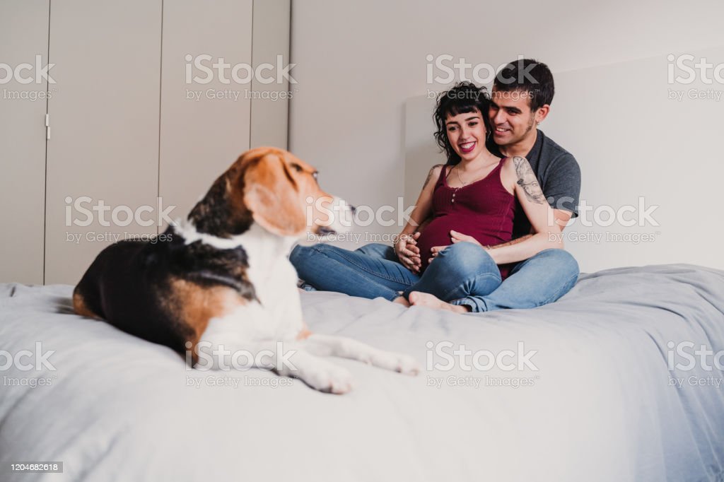 Istockphoto 1204682618 1024x1024