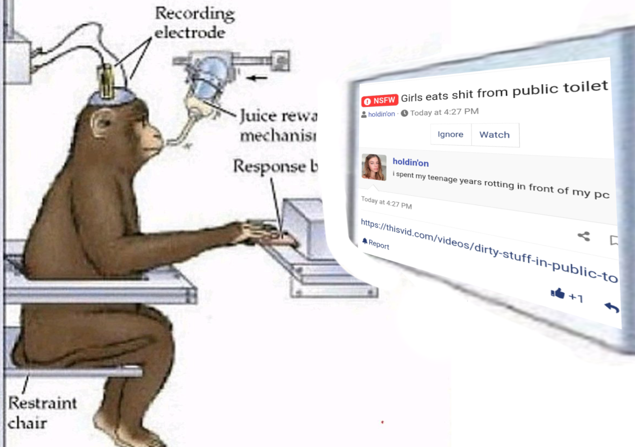 3600770 Untitled18 20230819194139