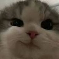 31155 1