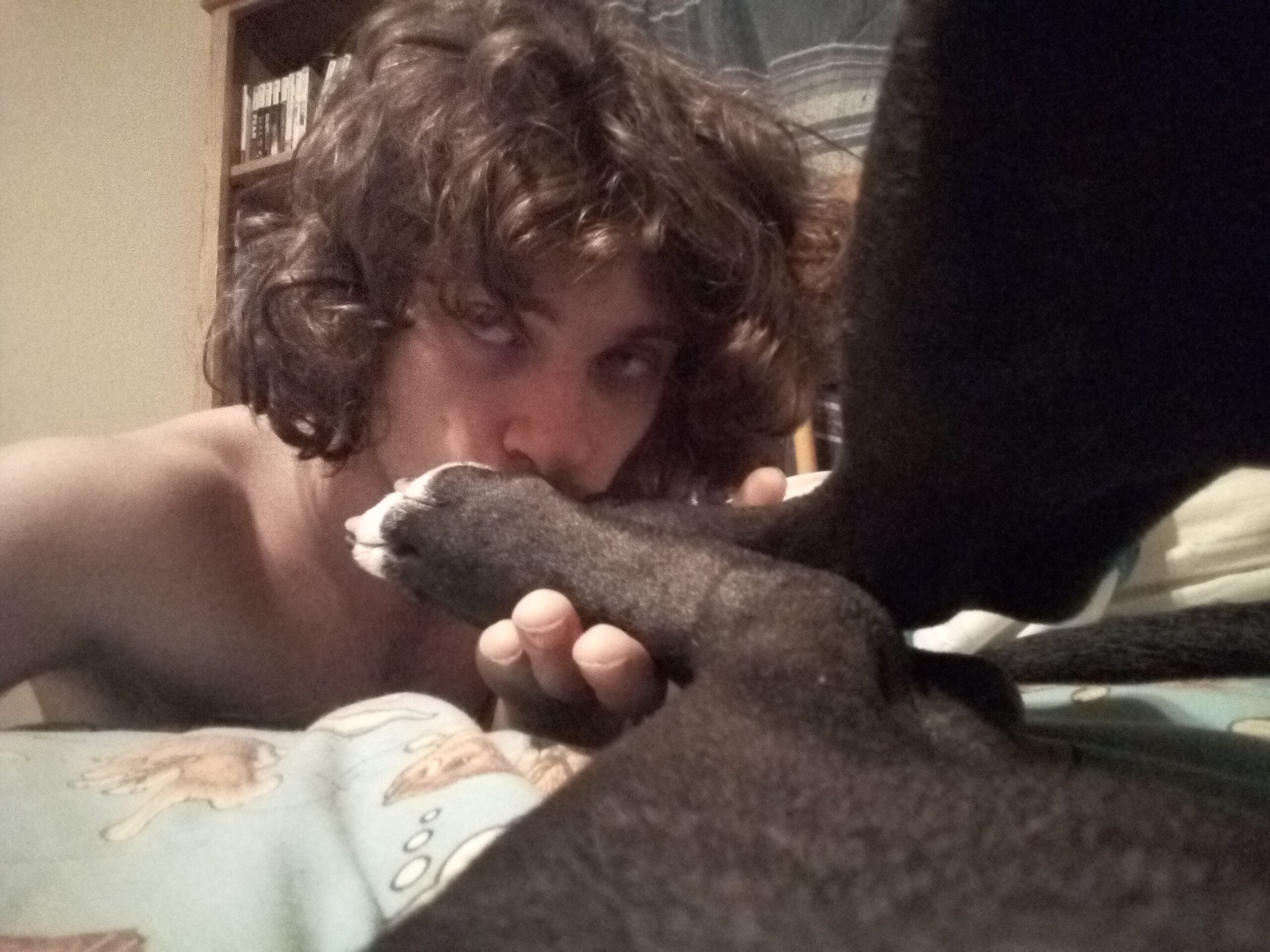 3400513 dogfeet 3