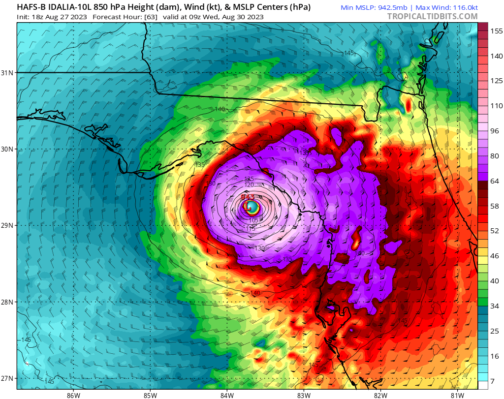 Idalia mogging florida subhumans 
