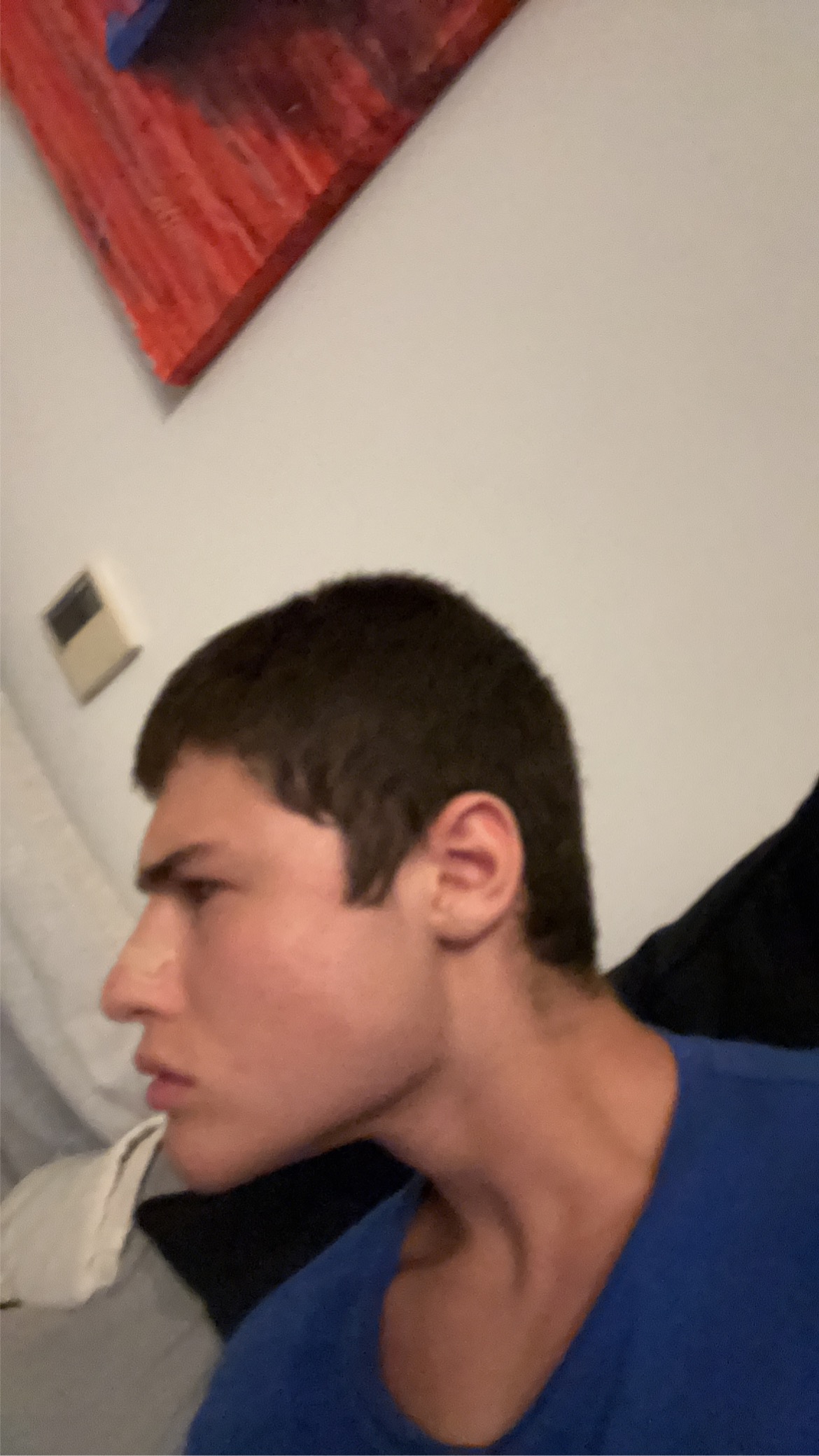 3613838 IMG 2427