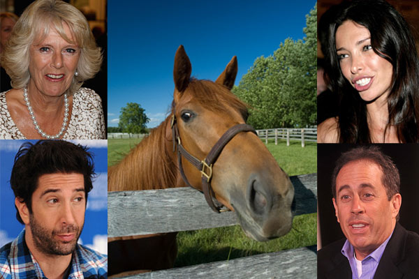 Blog011110 horseface