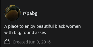 Screenshot 2023 08 31 at 18 55 27 r pabg   NSFW Perfect