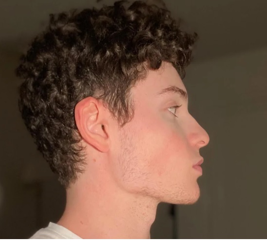 Pic1
