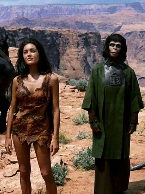 69fc14fe4d9b9565decc39fb26743a7d  charlton heston planet of the apes