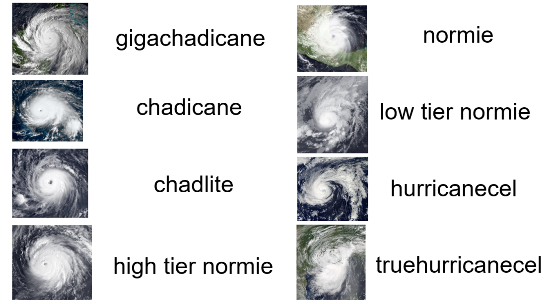 2759056 1645490478416