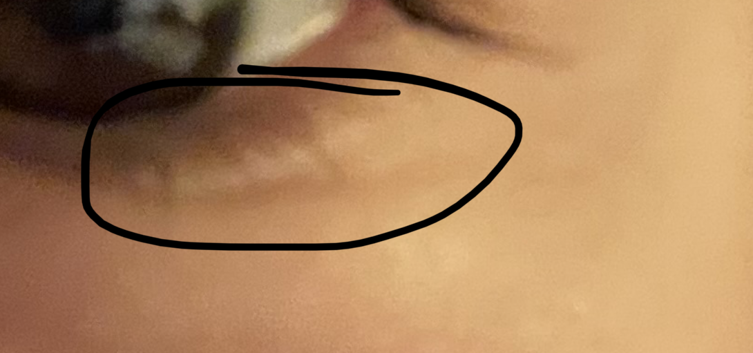 1694170212350
