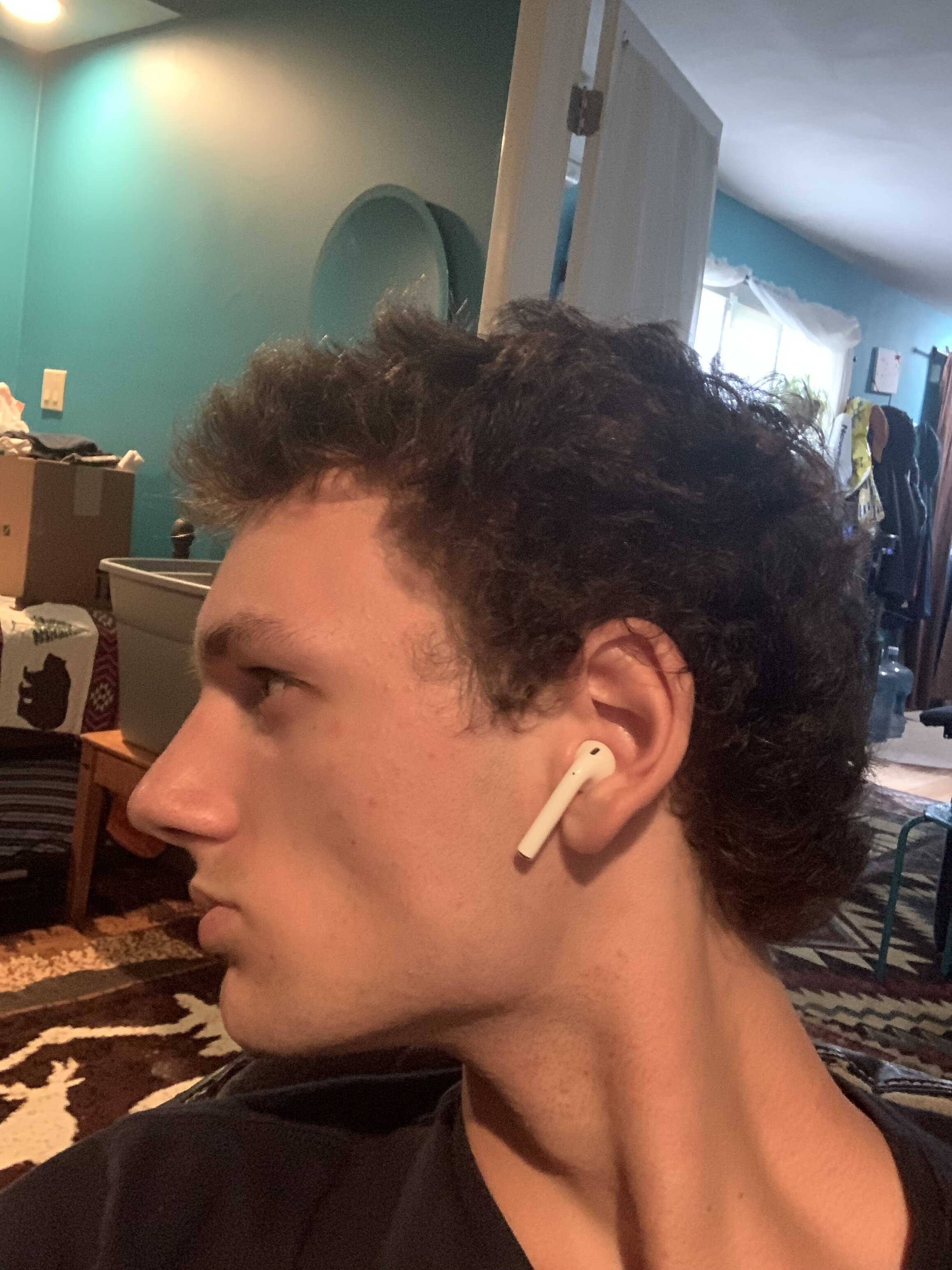 IMG 3998