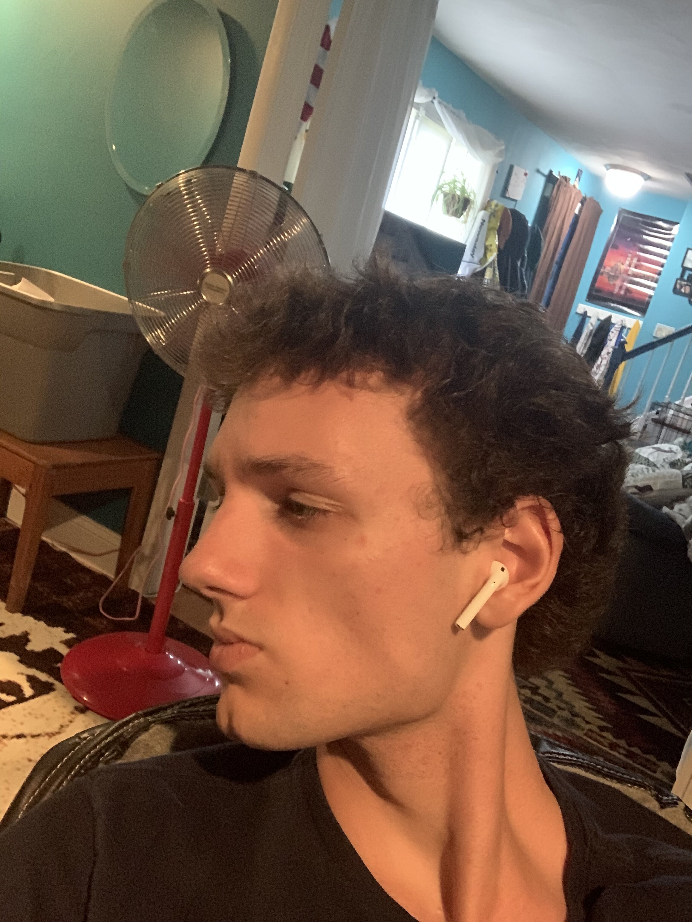 IMG 3996