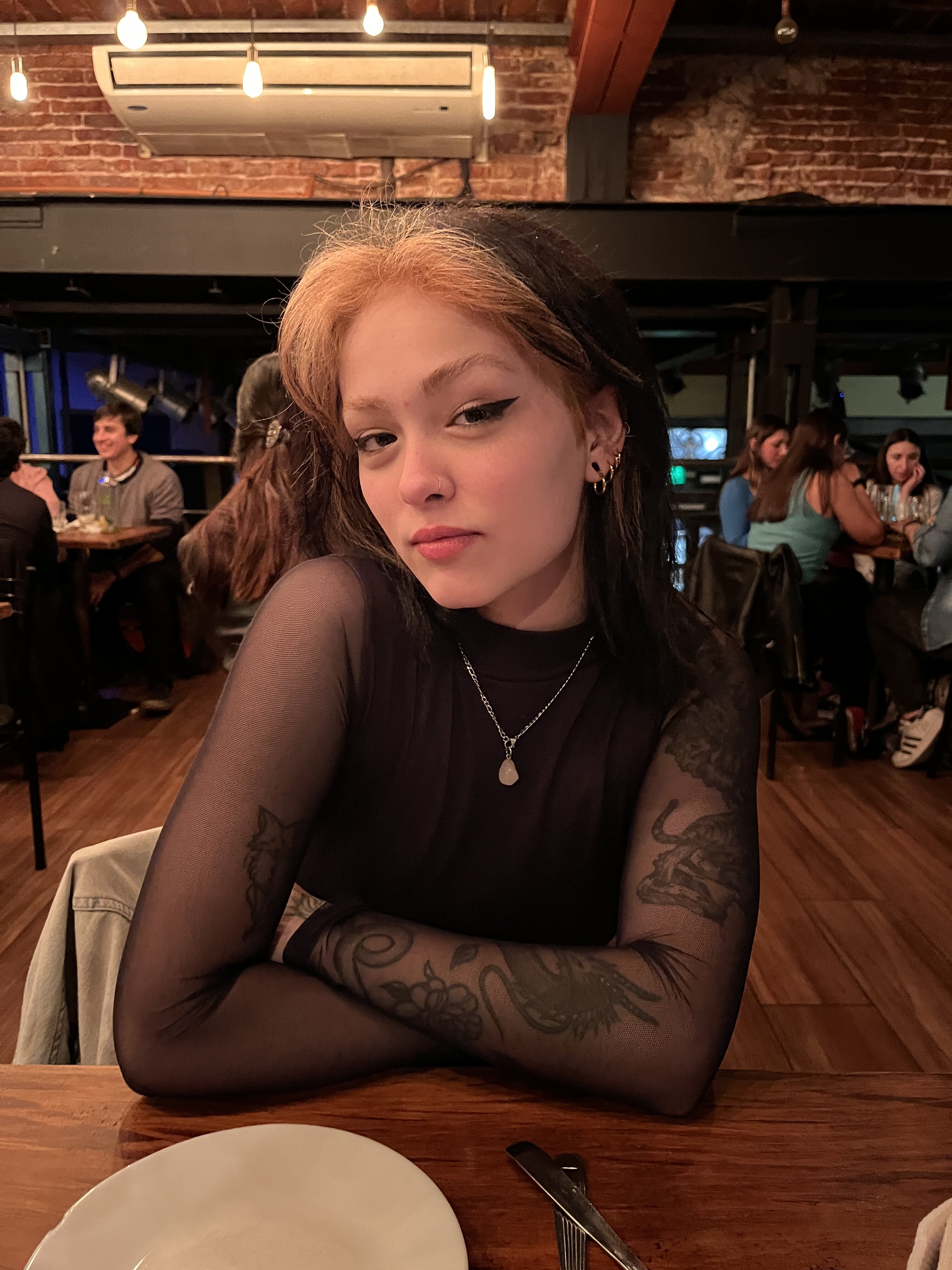 IMG 2206