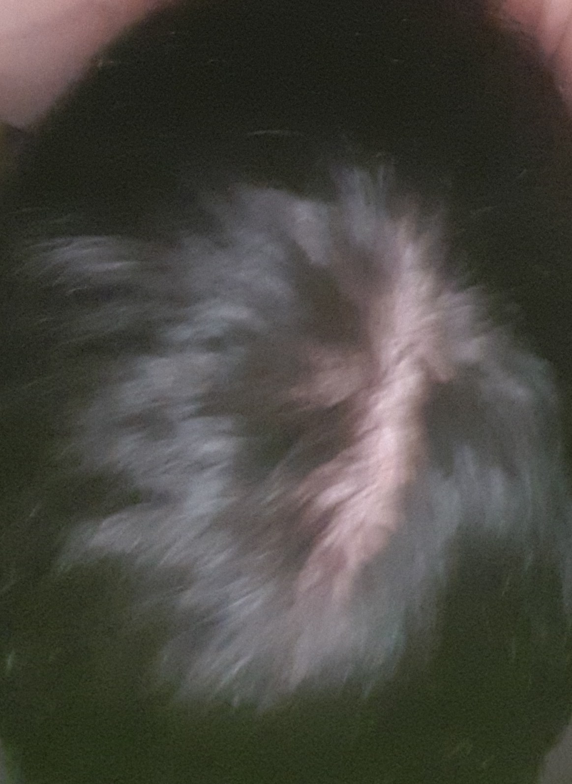 IMG 20230909 235429