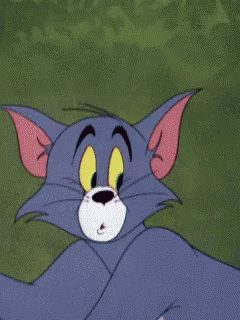 Tom and jerry tom