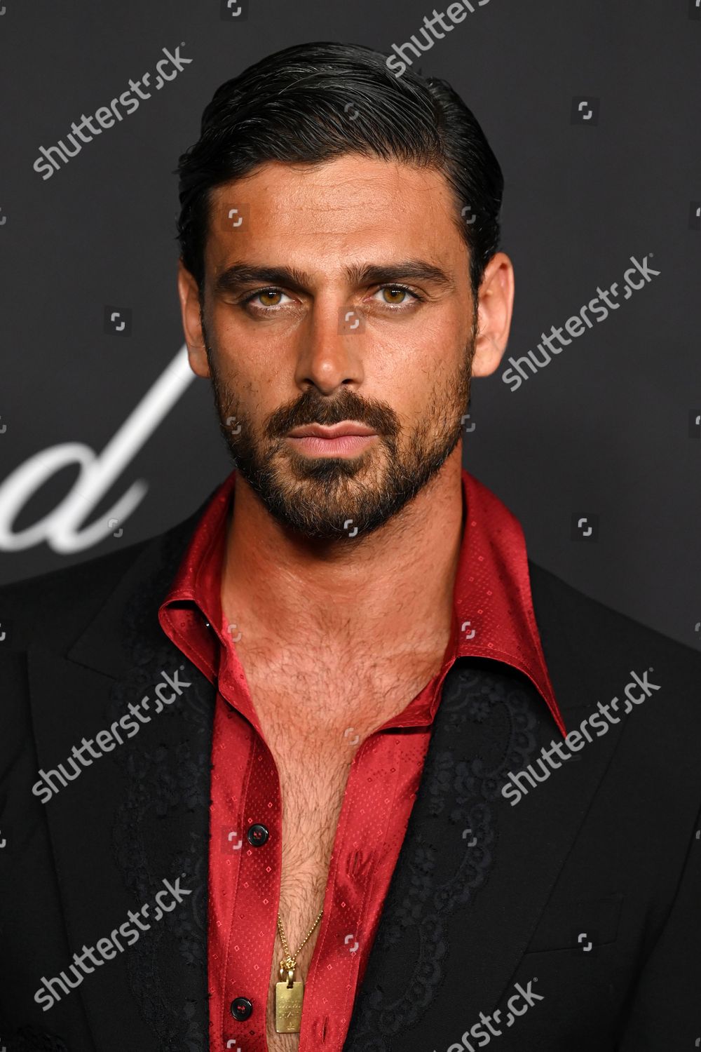 Shutterstock 12956840dz