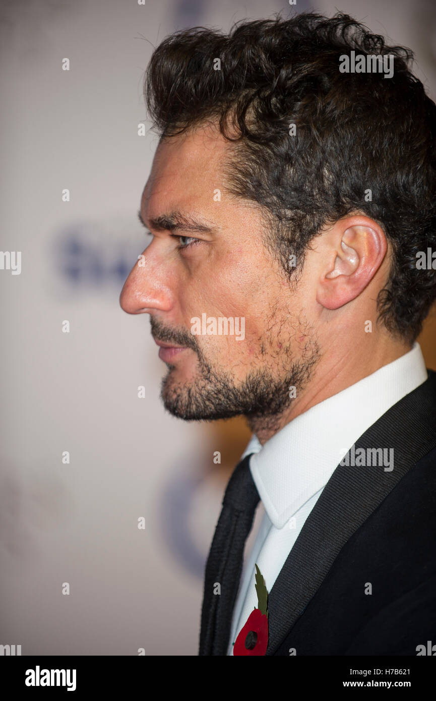 London uk 3rd november 2016 david gandy attends battersea dogs and H7B621
