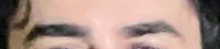 Sdasd