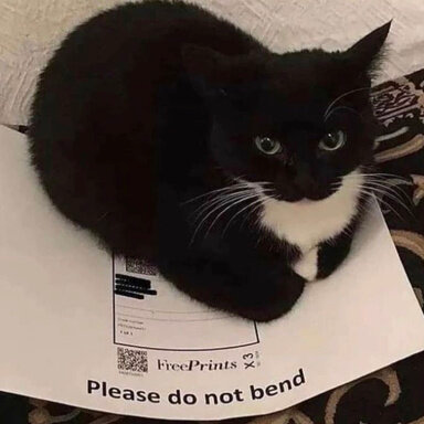 1695022097438