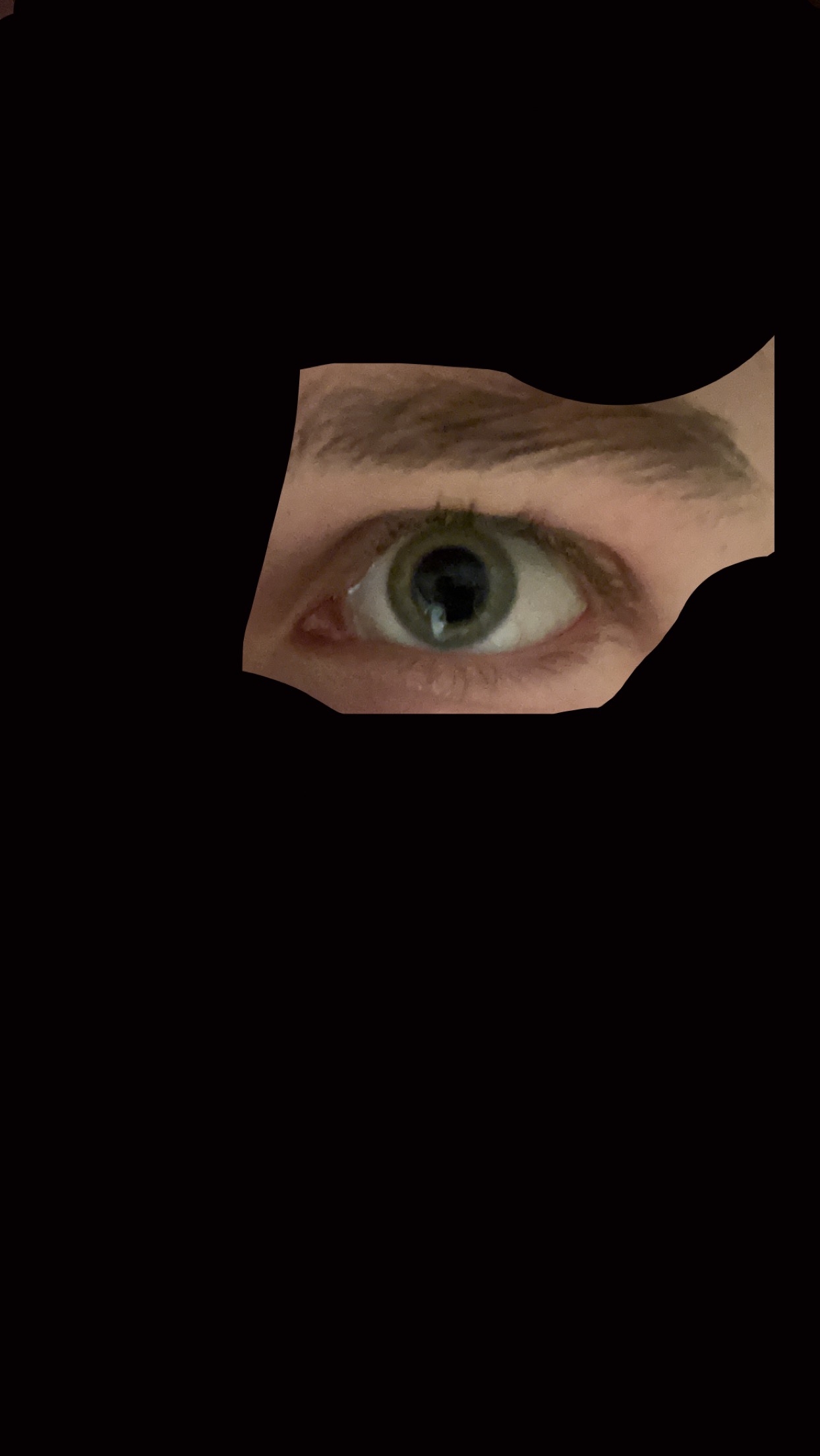 IMG 0709