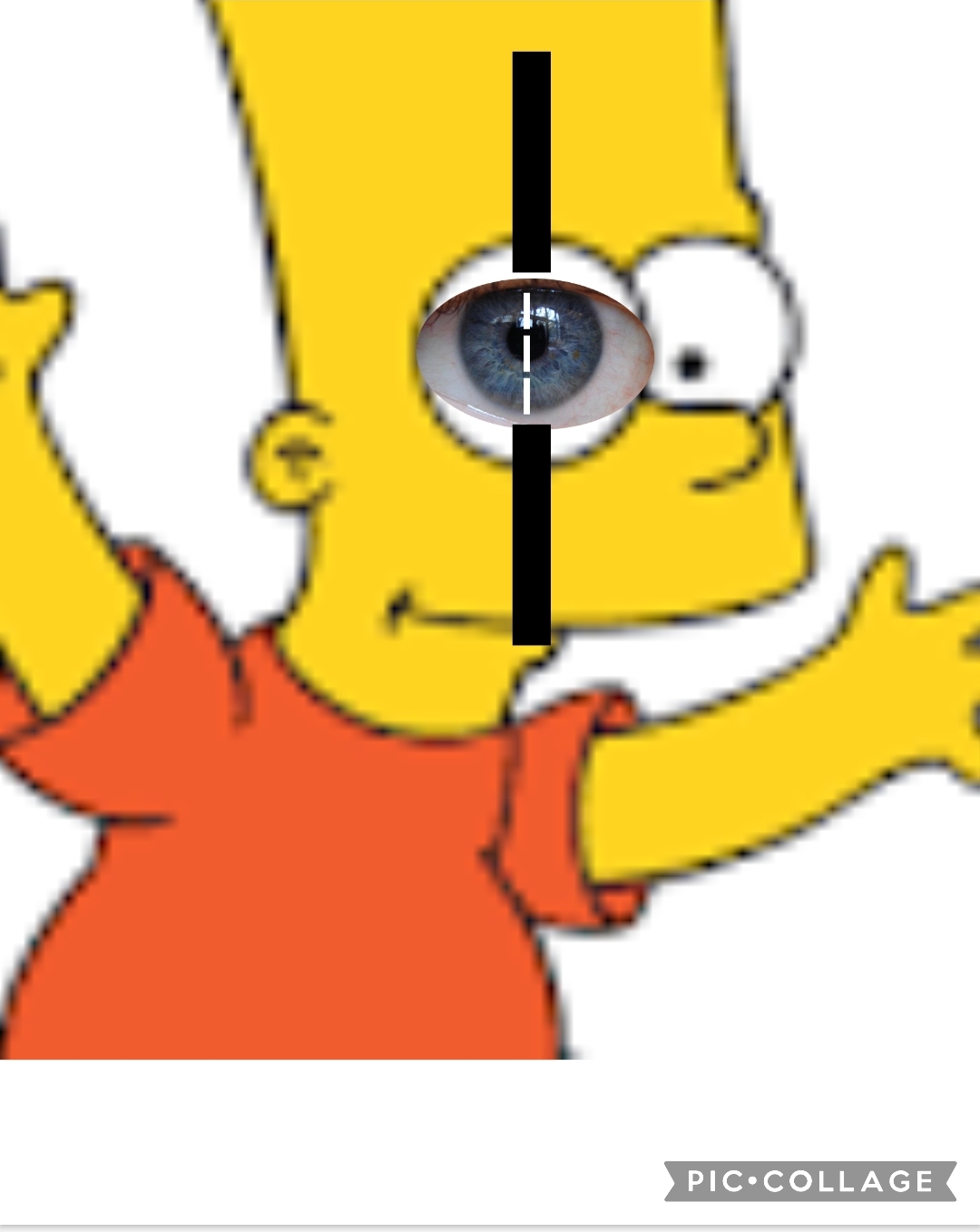 Screenshot 20230918 223511 PicCollage