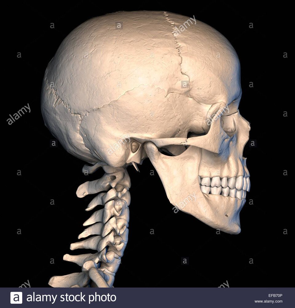 D0DC3649 785C 49EA B0A7 A1B6EDCC759A