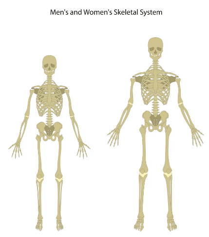 1695240458685