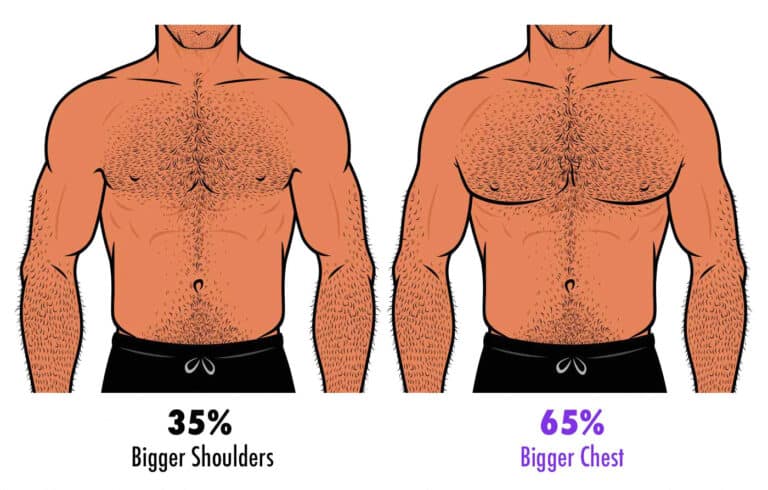 Male chest shoulder proportions most attractive to women 768x490