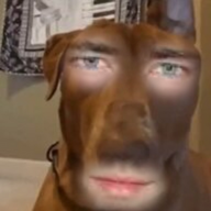 3508578 3319938 1678909395004