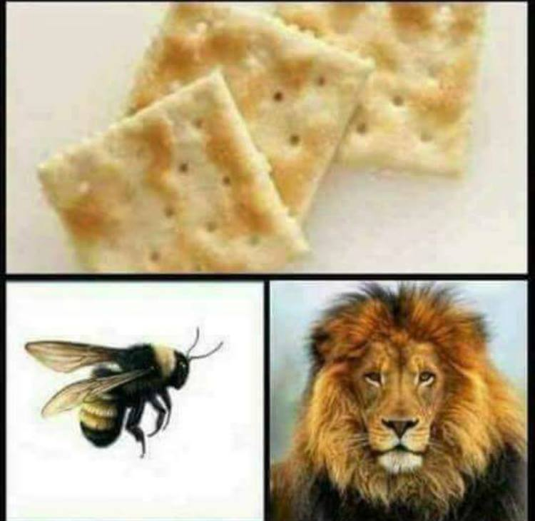 1694754766960