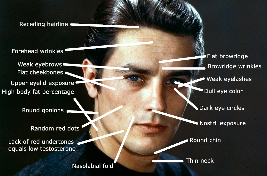 77909678 2476 4B00 ABF7 ACBA2ACF6D49