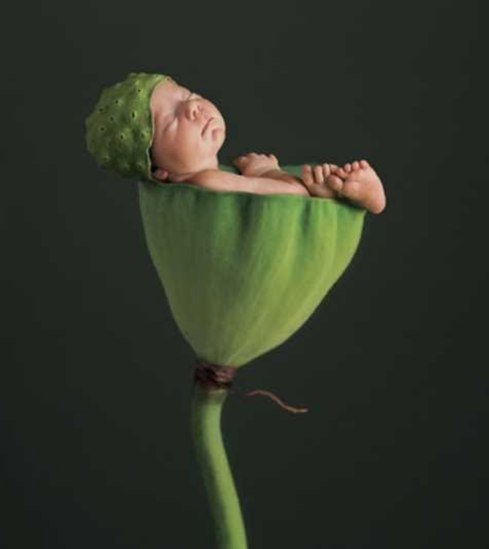 Miraclegro