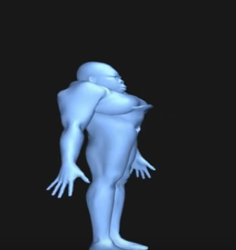 Average body