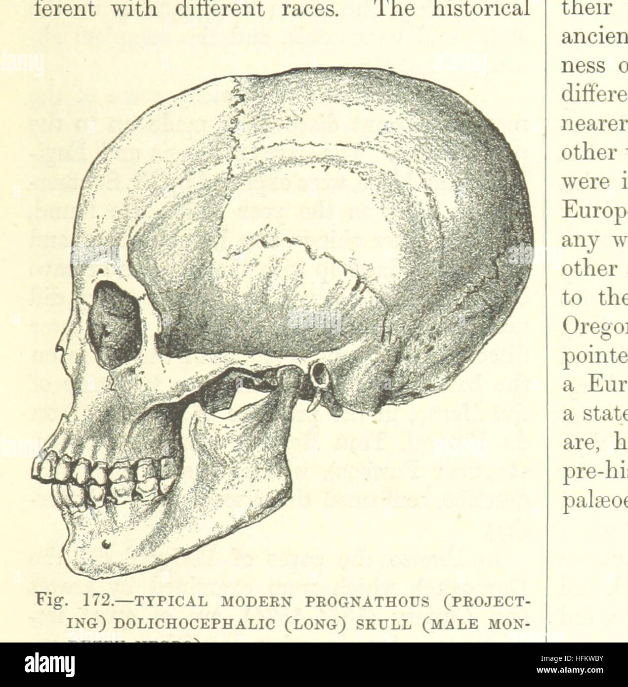 Image taken from page 275 of our earth and its story a popular treatise HFKWBY