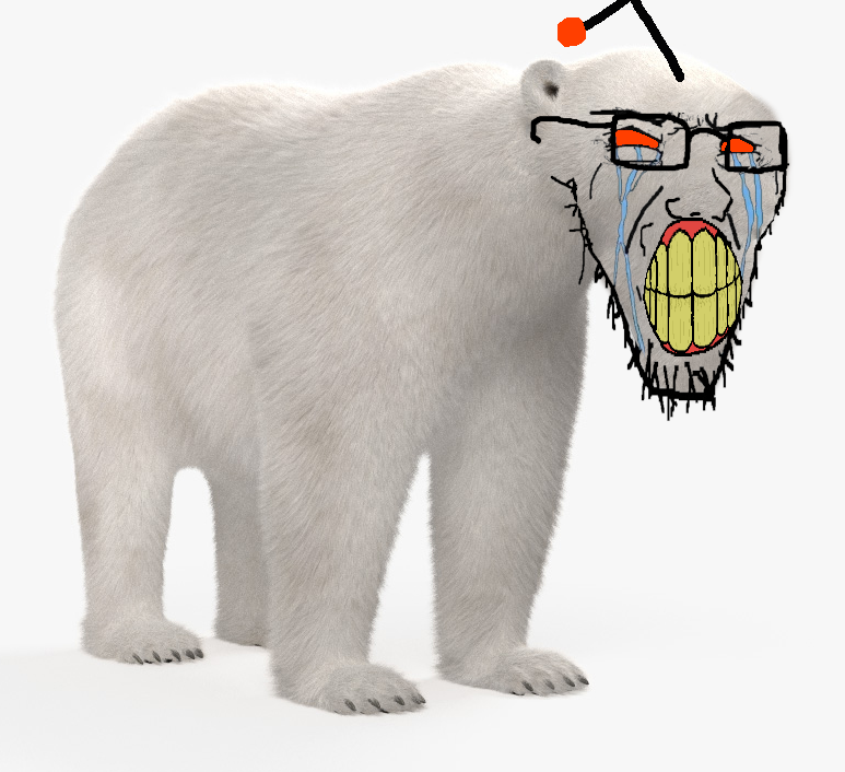 18436 animal antenna clenched teeth crying full body glasses orange eyes polar bear reddit soy