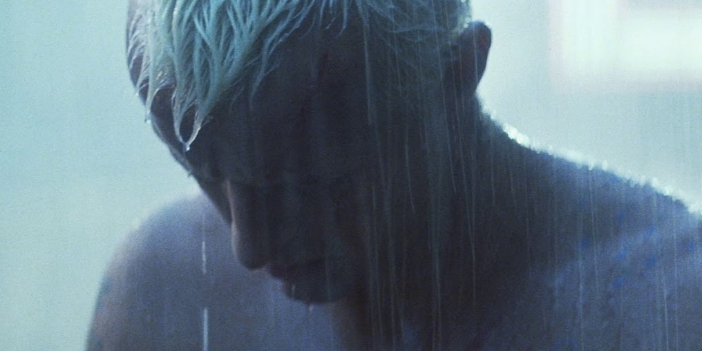 Tears in rain