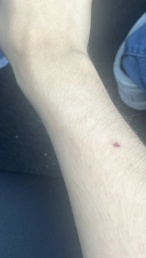 19E578D4 6A65 4F53 8ADD DFAFB6607F87