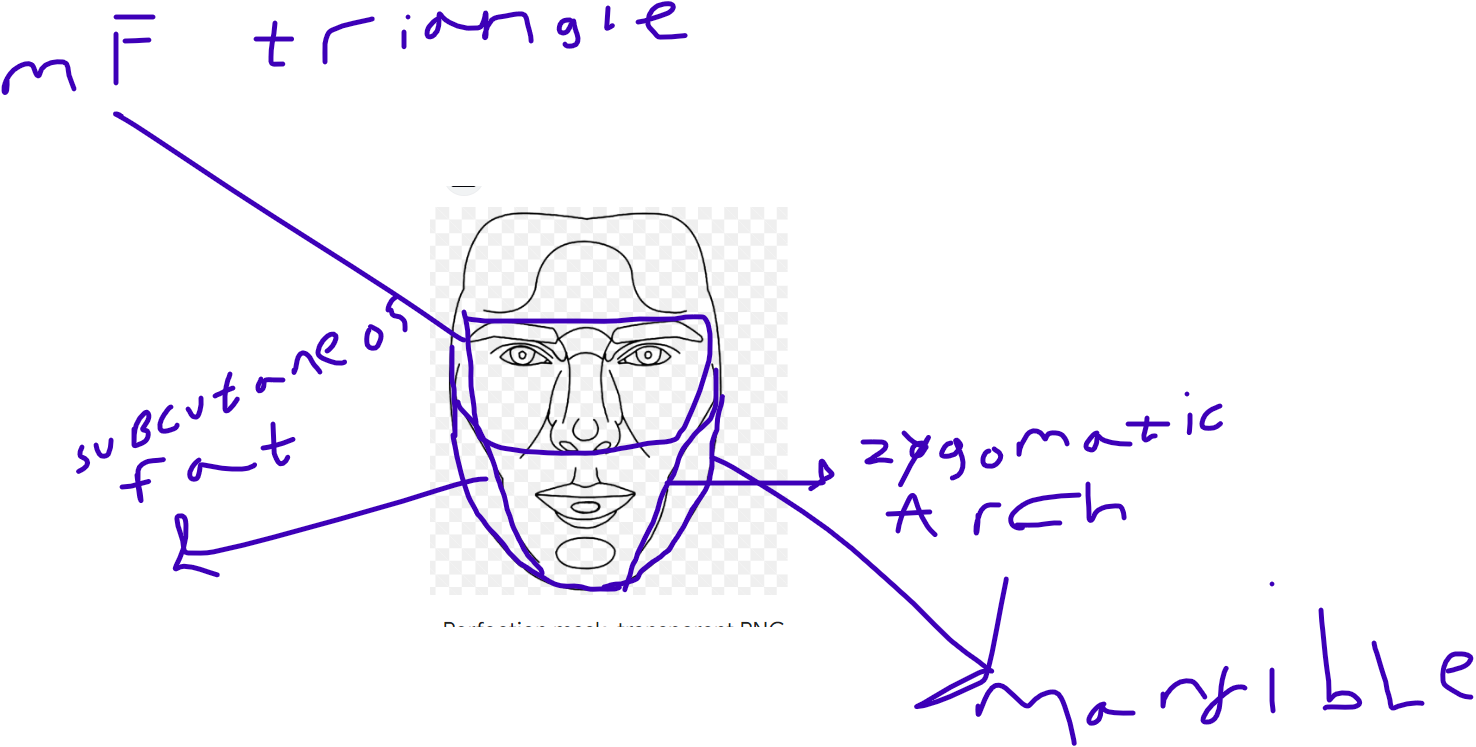 1696361888001