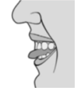 Masako or tongue hold